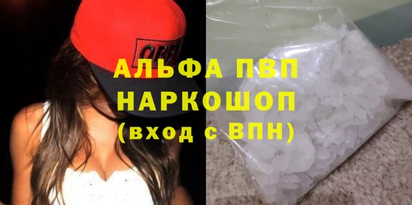 гидра Надым