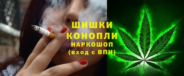 гидра Надым