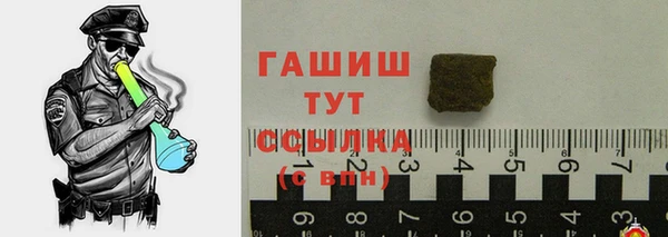 гидра Надым