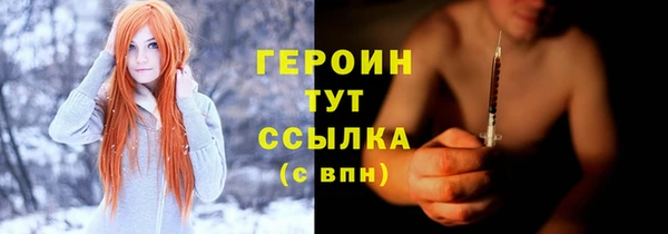 гидра Надым