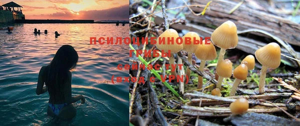 мдпв Навашино