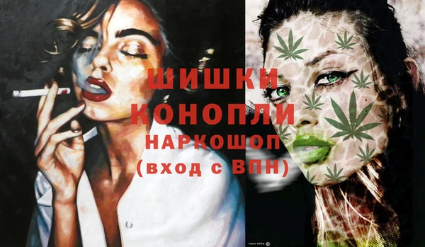 гидра Надым