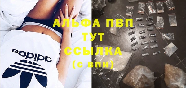 гидра Надым