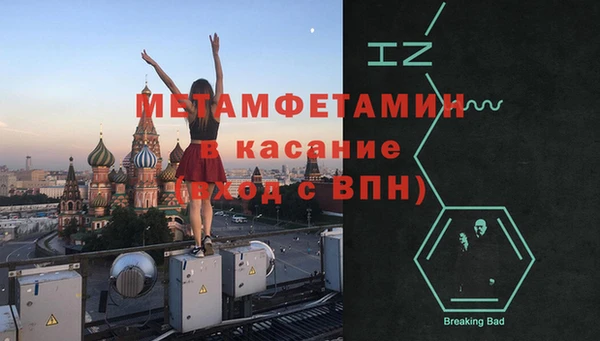 гидра Надым