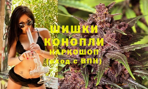 гидра Надым