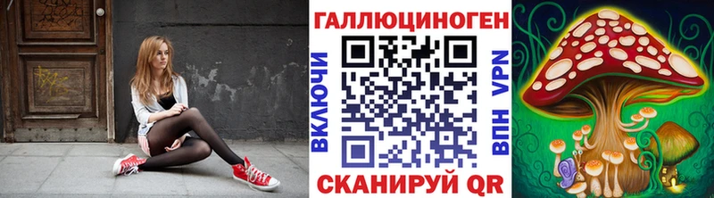 Псилоцибиновые грибы Psilocybe  Шатура 